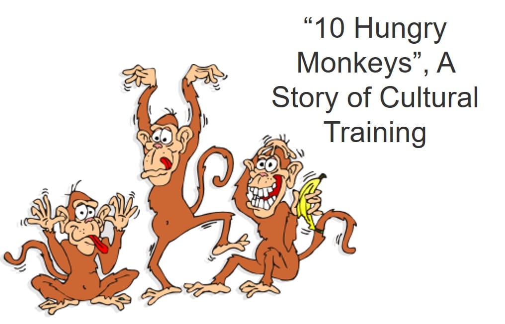 Story :) Stock (Monkey) Market Funny Explanation – PROPEL STEPS