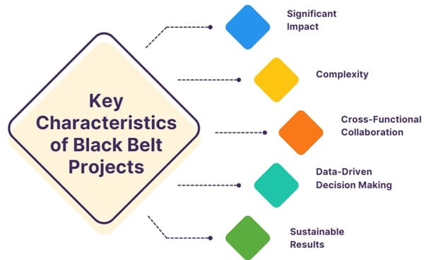 Key Characteristics of Black Belt Projects
