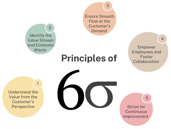 principles-of-six-sigma