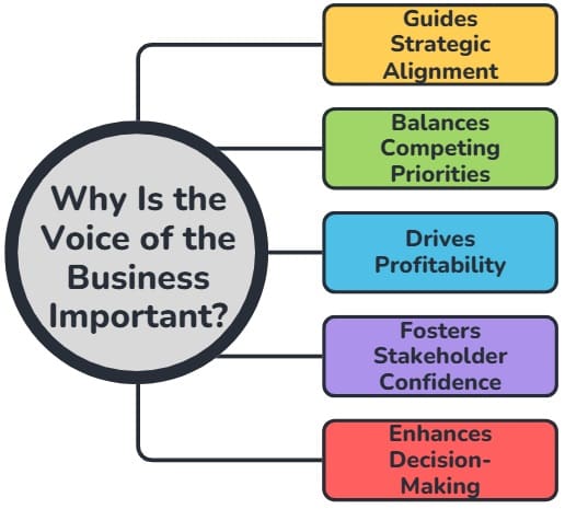 Why Is the Voice of the Business Important