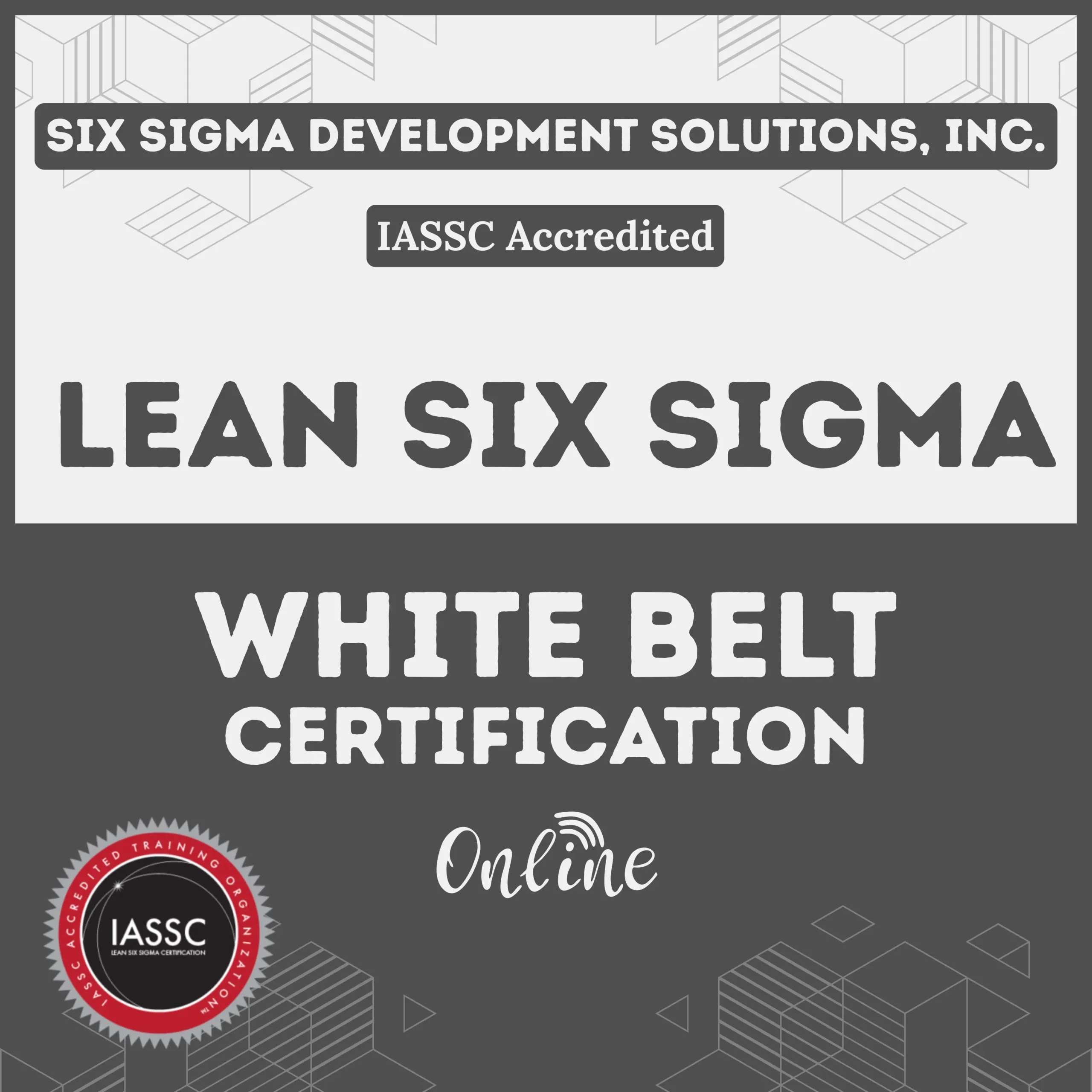 LSS Online White Belt Certification Product Image