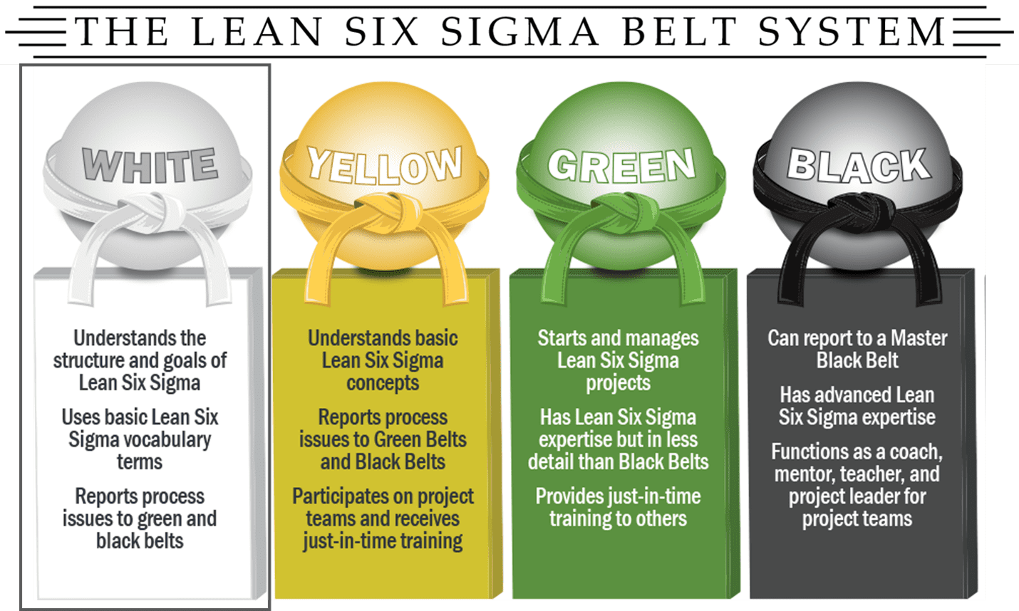 What is a Six Sigma White Belt?