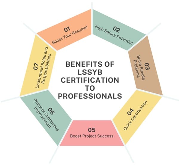 Benefits-of-LSSYB-certification-to-professional