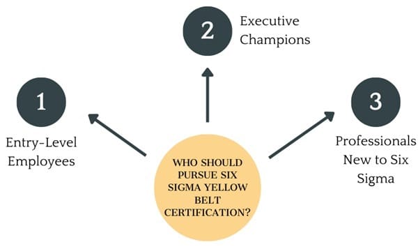 Who Should Pursue Six Sigma Yellow Belt Certification