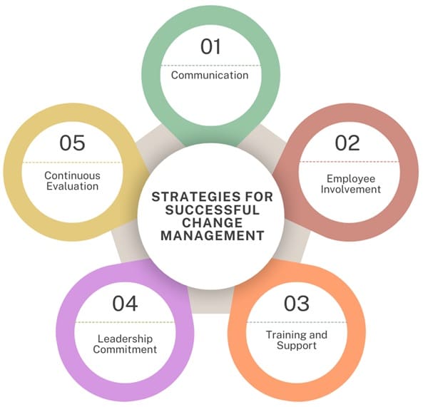 Strategies for Successful Change Management