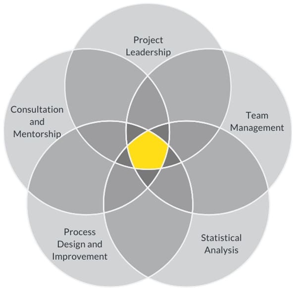 Role of a Lean Six Sigma Black Belt