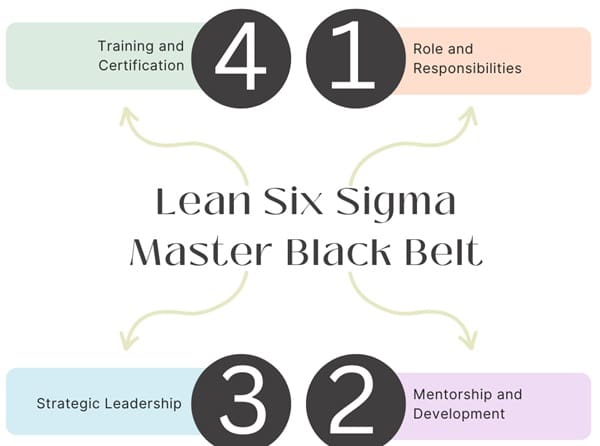 lean-six-sigma-master-black-belt