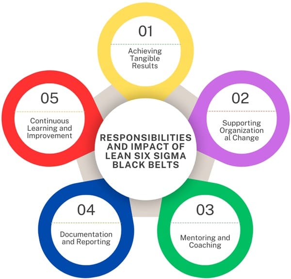 responsibilities of black-belts