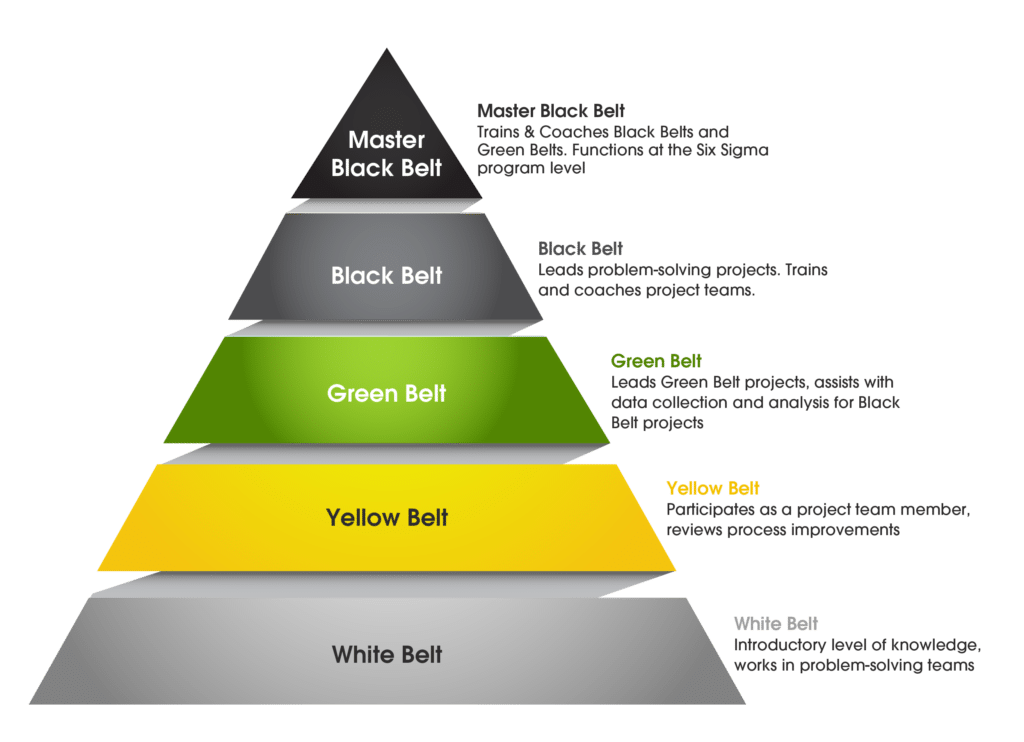 What is Black Belt green belt Six Sigma?