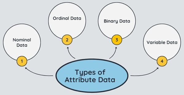 Types of Attribute Data