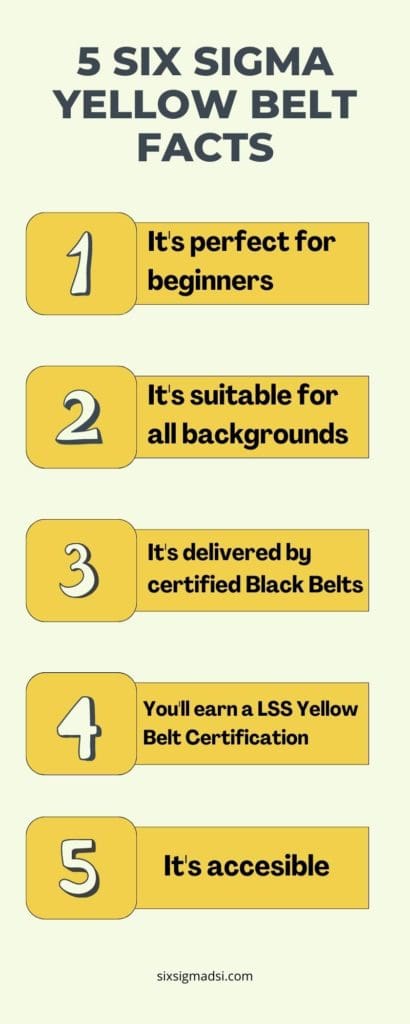  5 Facts About a Lean Six Sigma Yellow Belt Certification' https://sixsigmadsi.com/