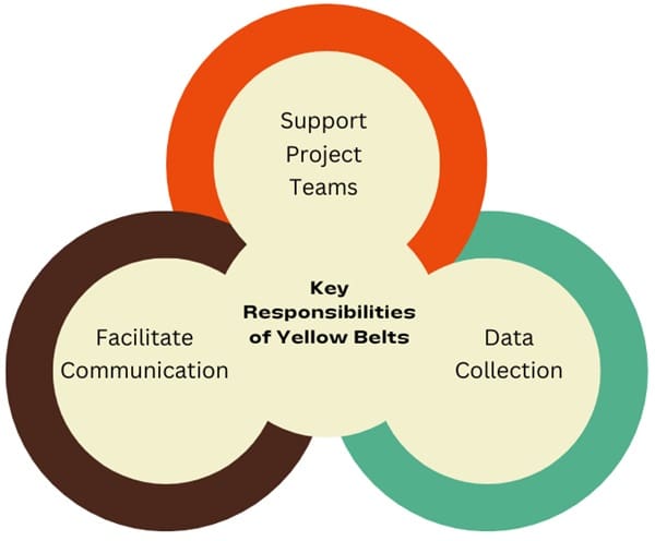 key-responsibilities-of-yellow-belt-certification