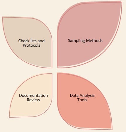 Audit Tools and Techniques