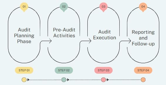 Six Sigma Audit Process