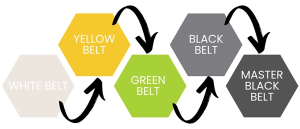 Six Sigma Belt Levels