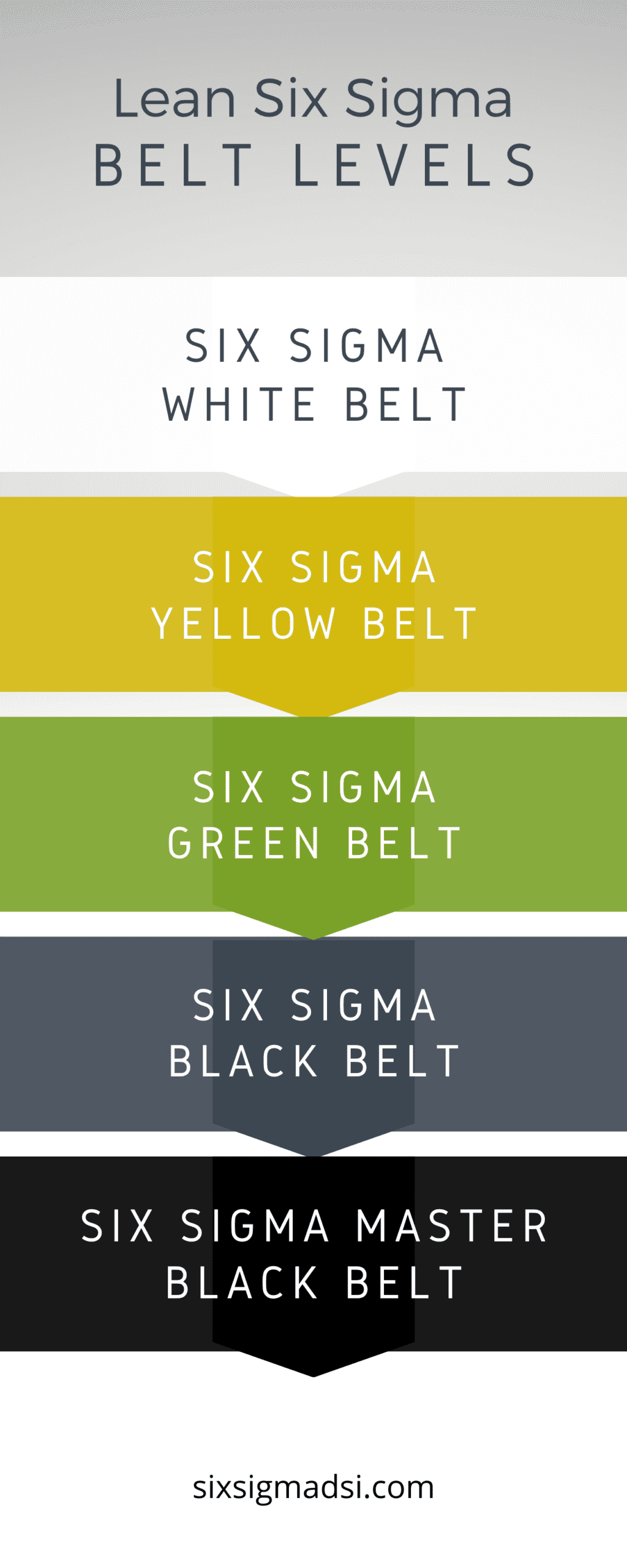 Six sigma belt outlet colors