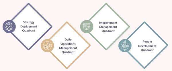 Lean Management Quadrant Approach