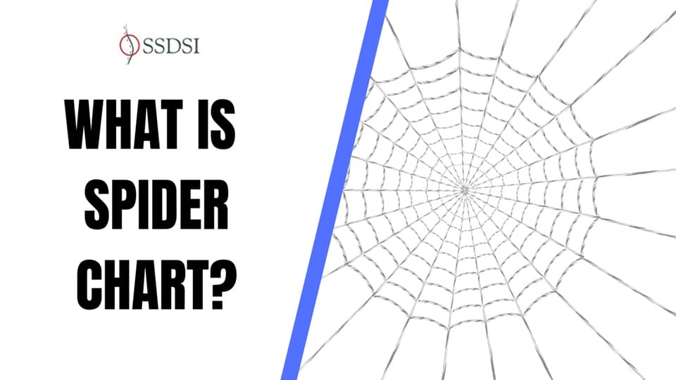 What Is a Spider Chart and How It Improves Data Analysis?