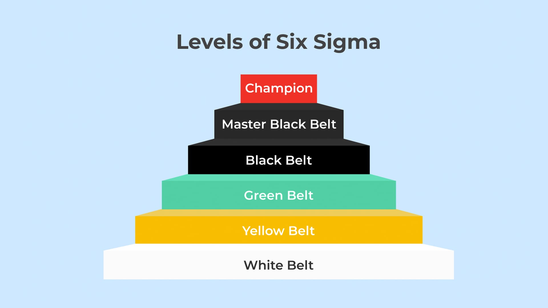What are the levels of Six Sigma?