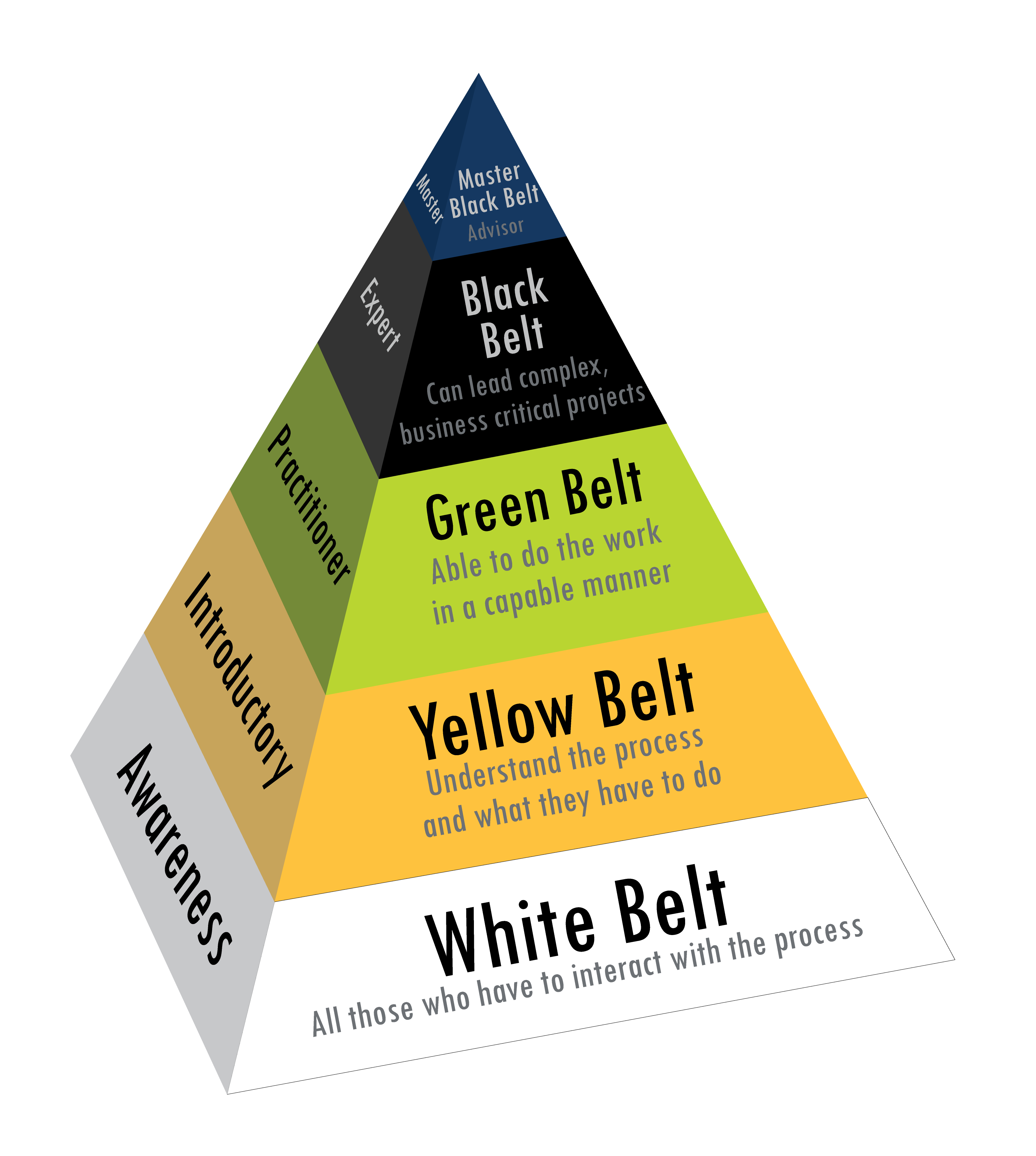 Lean Six Retailers Sigma Large Yellow