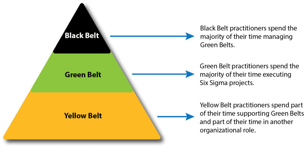 What are the responsibilities of a Lean Six Sigma Green Belt?