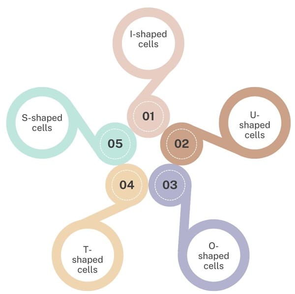 Cell Layouts in Cellular Manufacturing