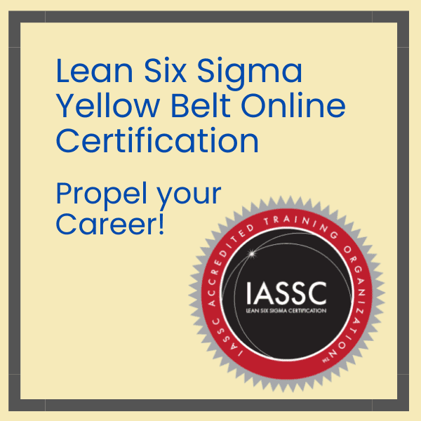 Lean six sigma online hotsell