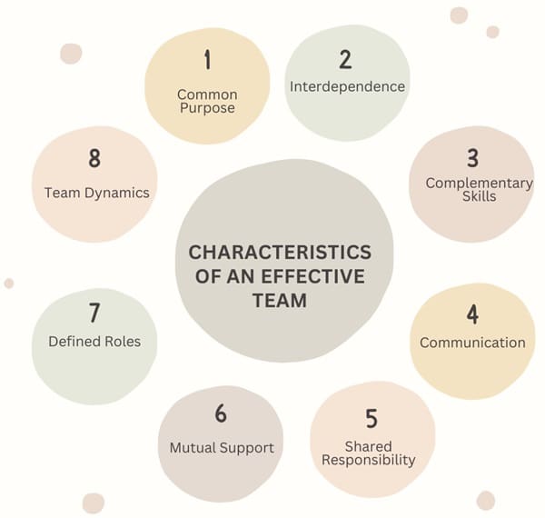 Characteristics-of-an-effective-team