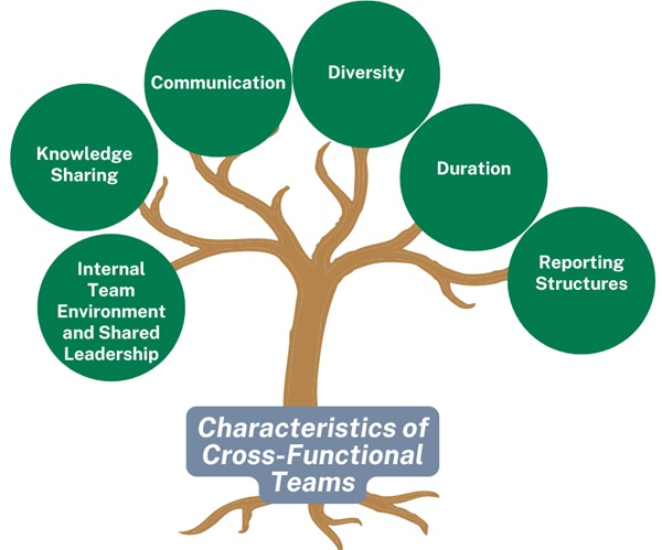 characteristics-of-cross-functional-teams