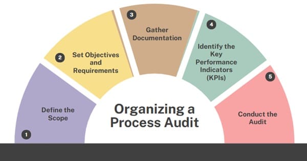 Organizing a Process Audit