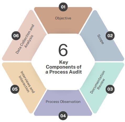 key components of a process audit