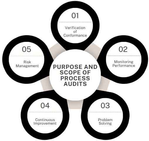 Process audit purpose