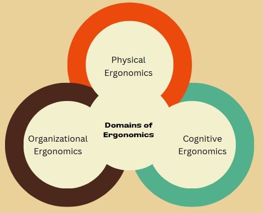 Domains of Ergonomics