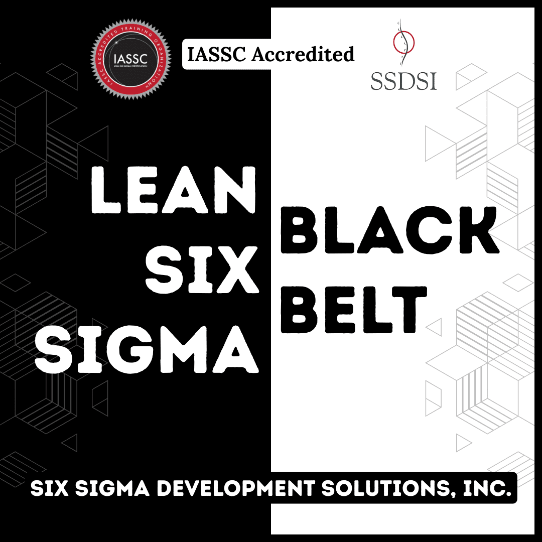 six sigma black belt product image